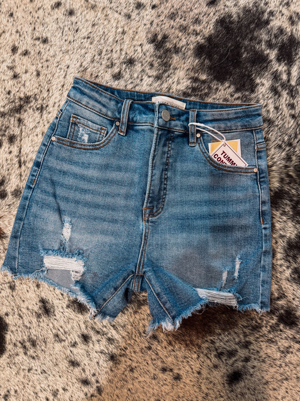 The Reagan Denim Shorts