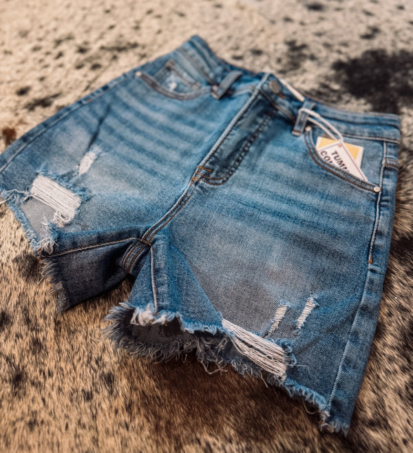 The Reagan Denim Shorts